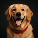 7 Types of Trousers That Instantly Upgrade Your Style