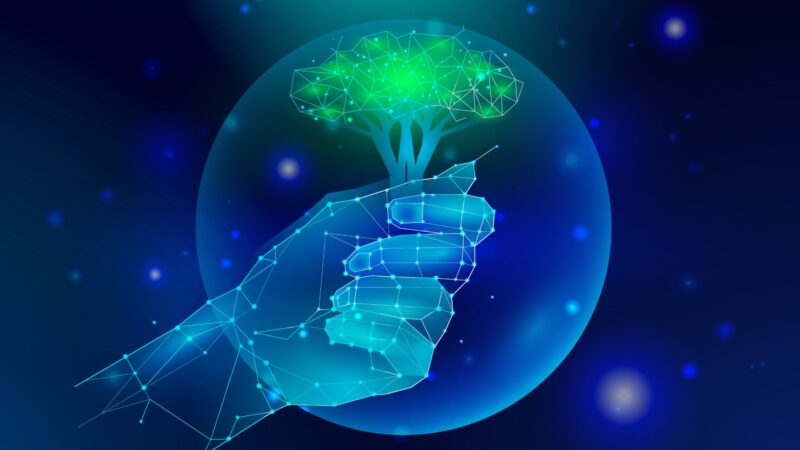 Nurture Tech Tips EmbedTree: 7 Smart Wins to Level Up Fast