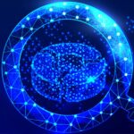 Seekde: The Future of Intelligent Search Systems 
